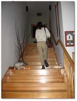 front stairs